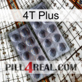 4T Plus 31